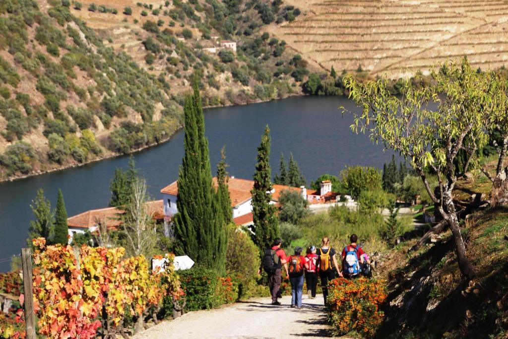Douro Yachts&Chalets São João da Pesqueira Buitenkant foto